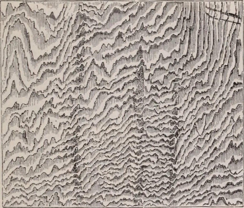 An illustration from The microscope and its revelations, 1891, leaf 904