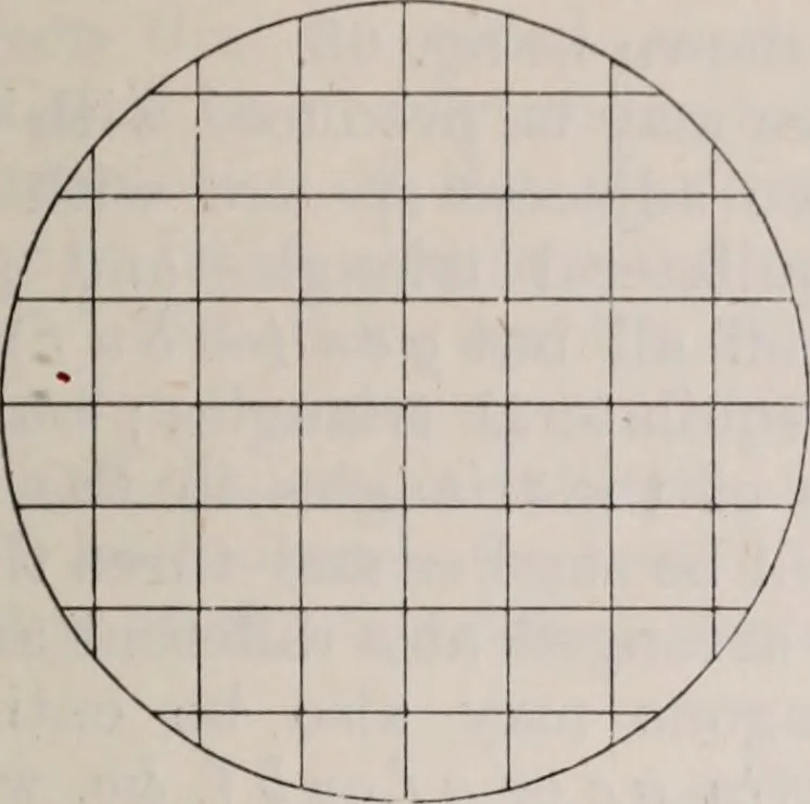 An illustration from The microscope and its revelations, 1891, leaf 94