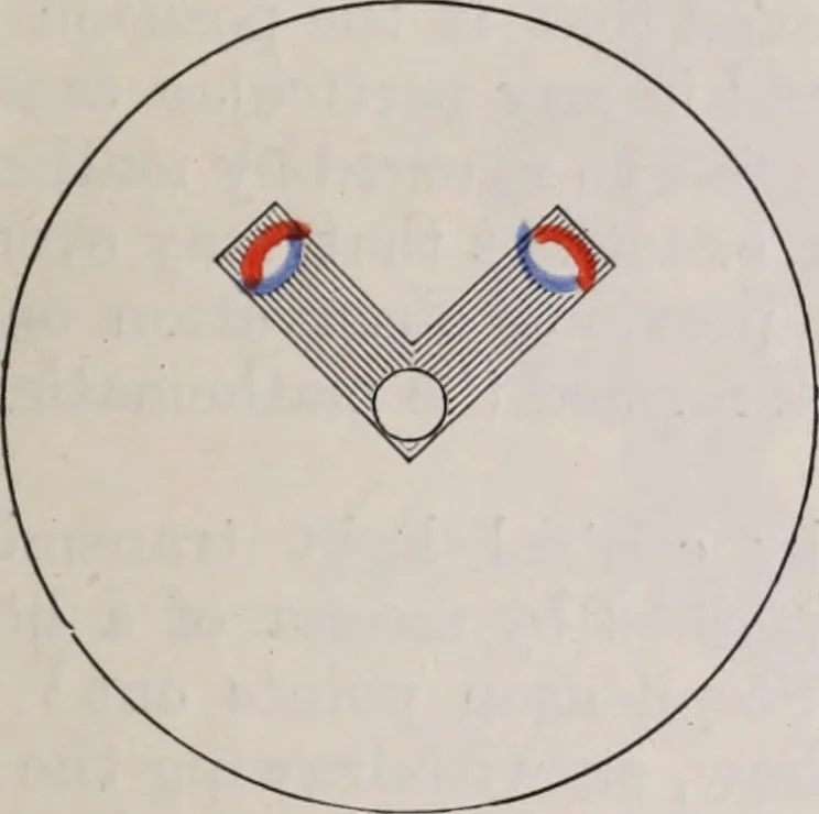 An illustration from The microscope and its revelations, 1891, leaf 94