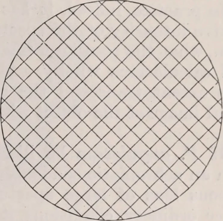 An illustration from The microscope and its revelations, 1891, leaf 94