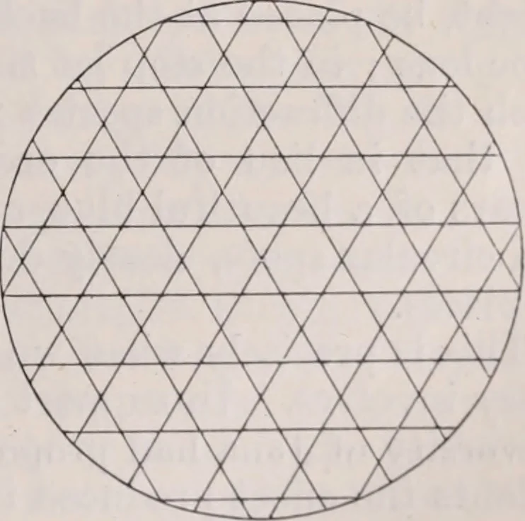 An illustration from The microscope and its revelations, 1891, leaf 94