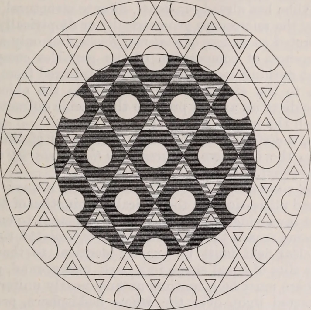 An illustration from The microscope and its revelations, 1891, leaf 96