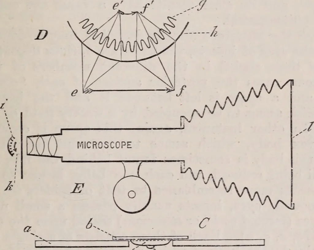 An illustration from The microscope and its revelations, 1891, leaf 966