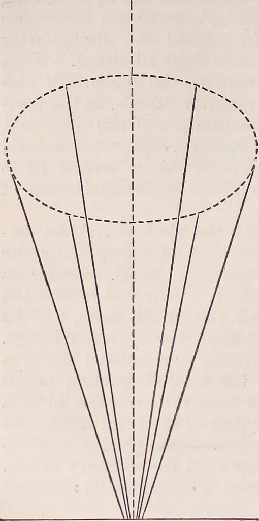 An illustration from The microscope and its revelations, 1891, leaf 99