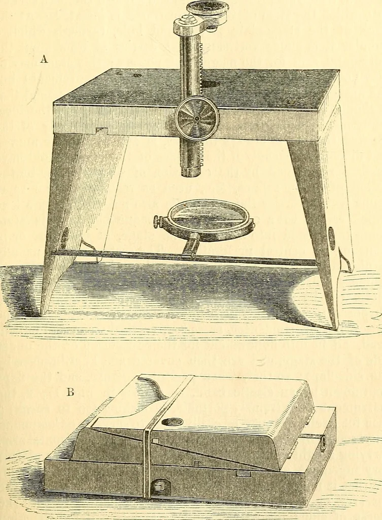An illustration from The microscope and its revelations, 1856, leaf 100