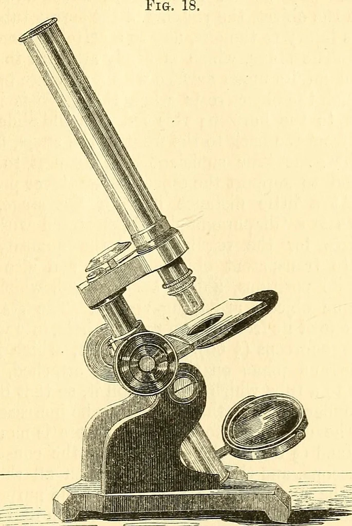 An illustration from The microscope and its revelations, 1856, leaf 104