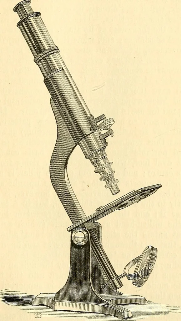 An illustration from The microscope and its revelations, 1856, leaf 106