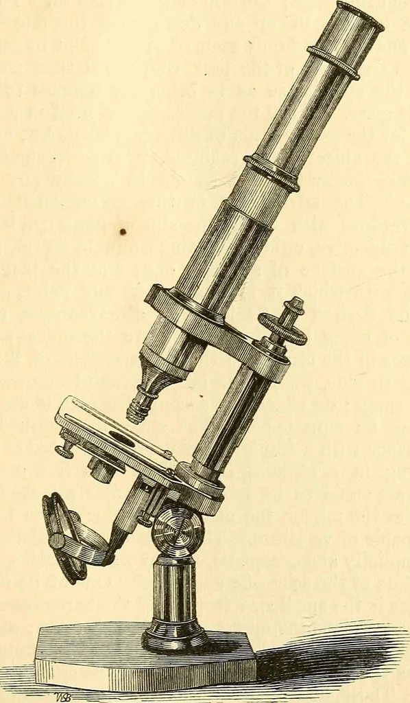 An illustration from The microscope and its revelations, 1856, leaf 108