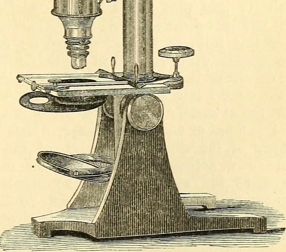 An illustration from The microscope and its revelations, 1856, leaf 110