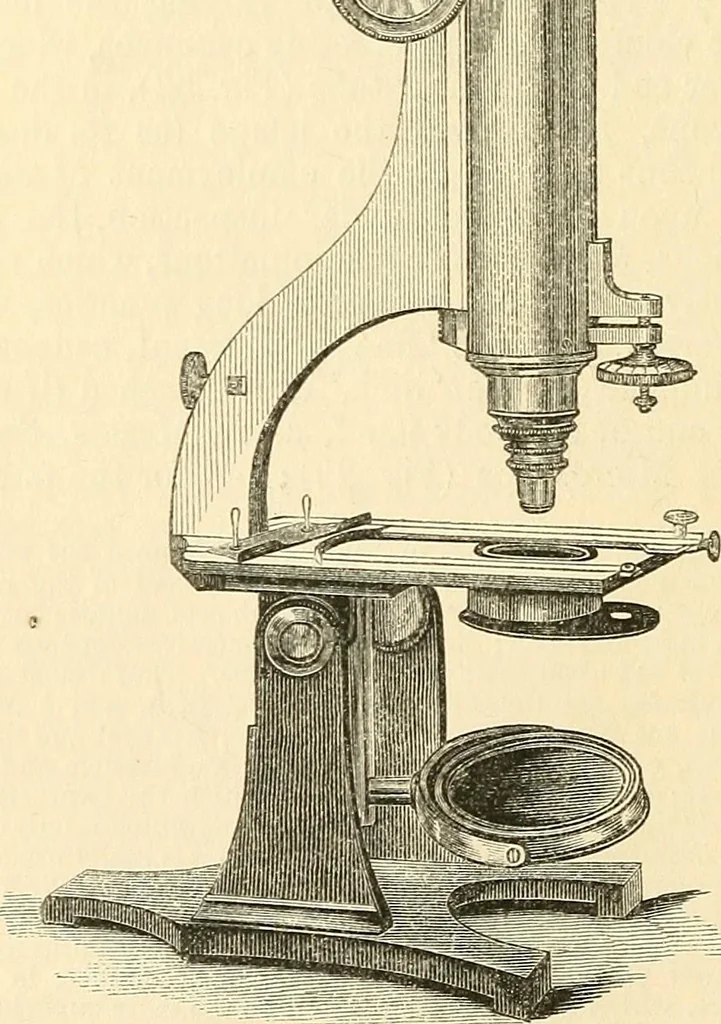 An illustration from The microscope and its revelations, 1856, leaf 113