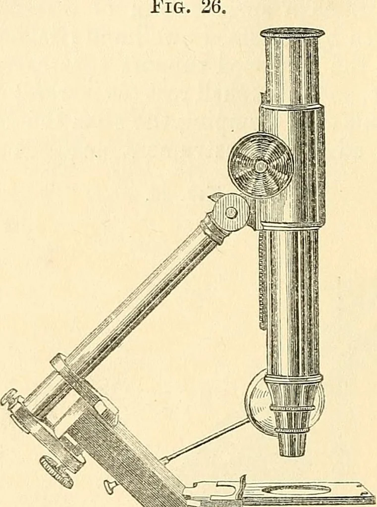 An illustration from The microscope and its revelations, 1856, leaf 117