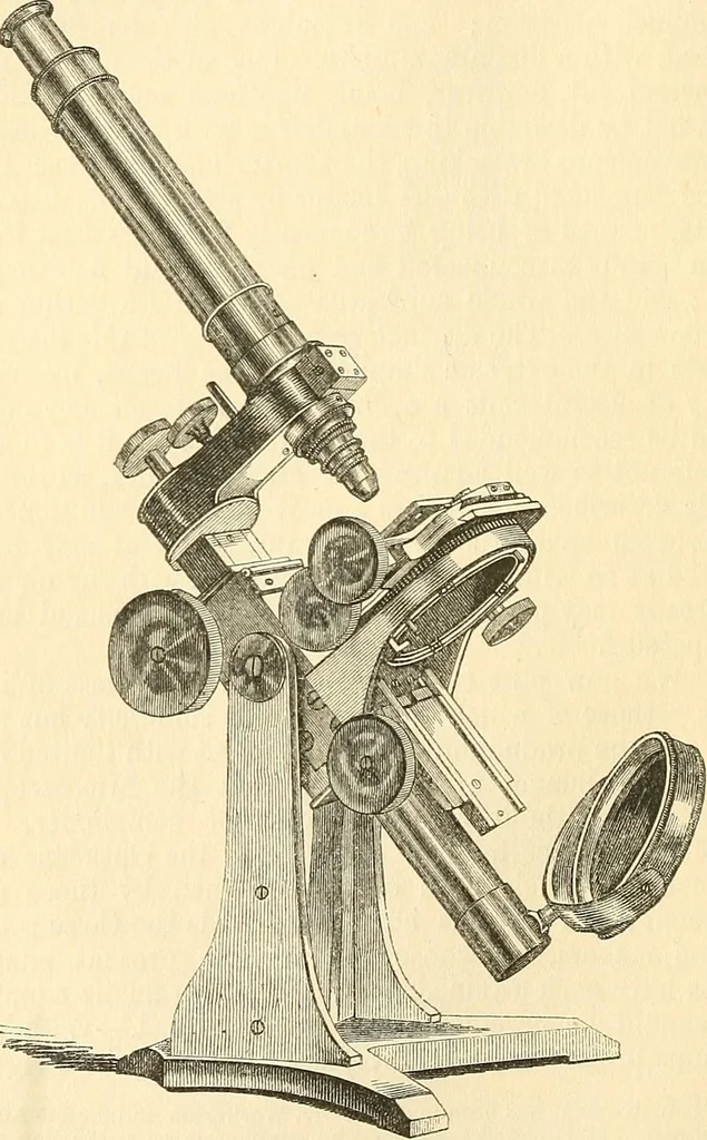 An illustration from The microscope and its revelations, 1856, leaf 119