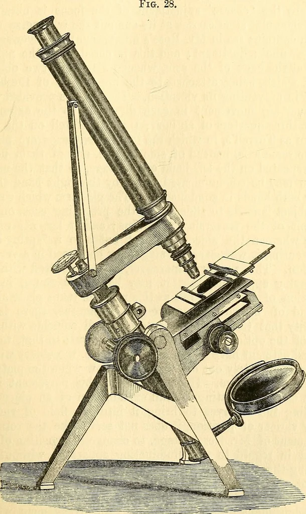 An illustration from The microscope and its revelations, 1856, leaf 122