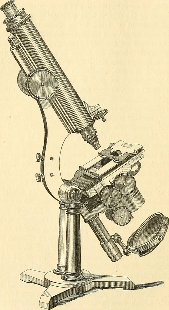 An illustration from The microscope and its revelations, 1856, leaf 125