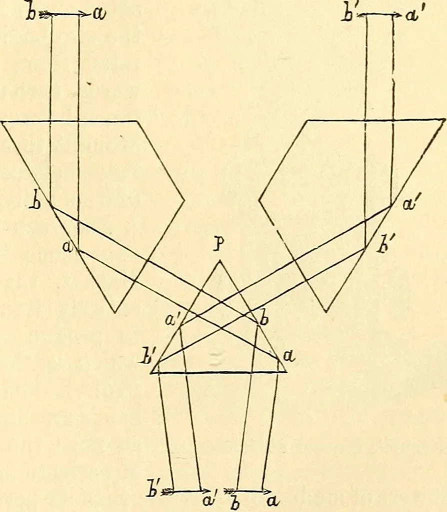 An illustration from The microscope and its revelations, 1856, leaf 128