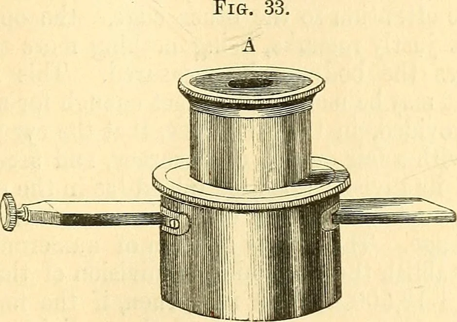 An illustration from The microscope and its revelations, 1856, leaf 136