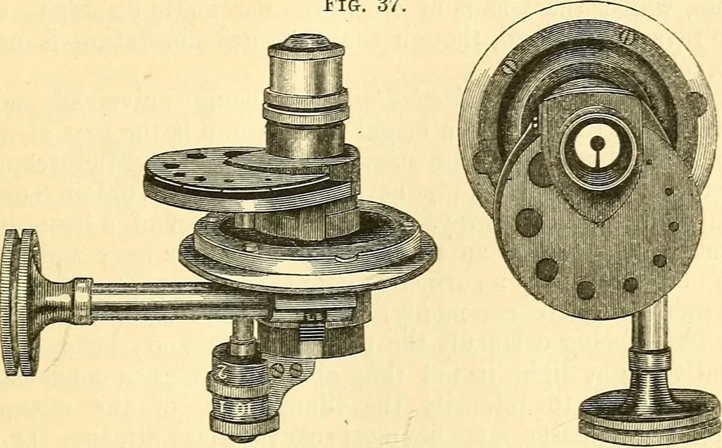 An illustration from The microscope and its revelations, 1856, leaf 150