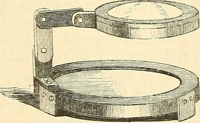 An illustration from The microscope and its revelations, 1856, leaf 151