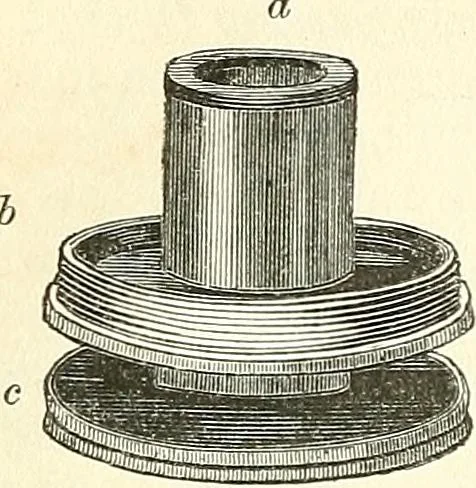 An illustration from The microscope and its revelations, 1856, leaf 159