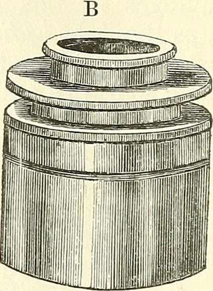 An illustration from The microscope and its revelations, 1856, leaf 159
