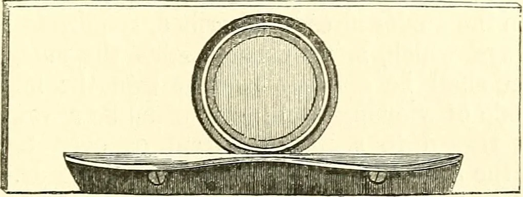 An illustration from The microscope and its revelations, 1856, leaf 160