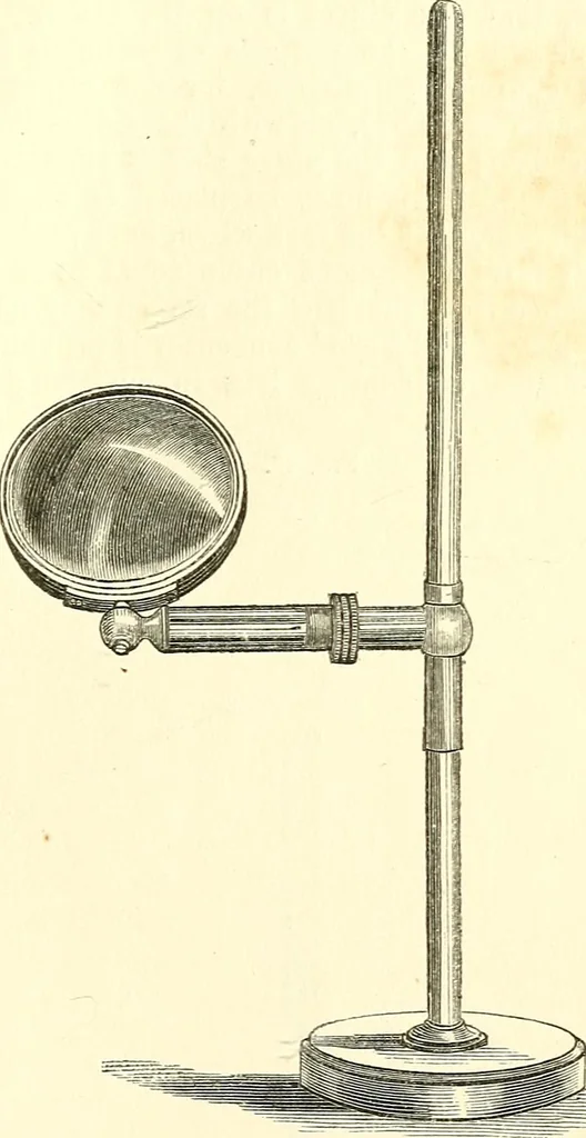 An illustration from The microscope and its revelations, 1856, leaf 162