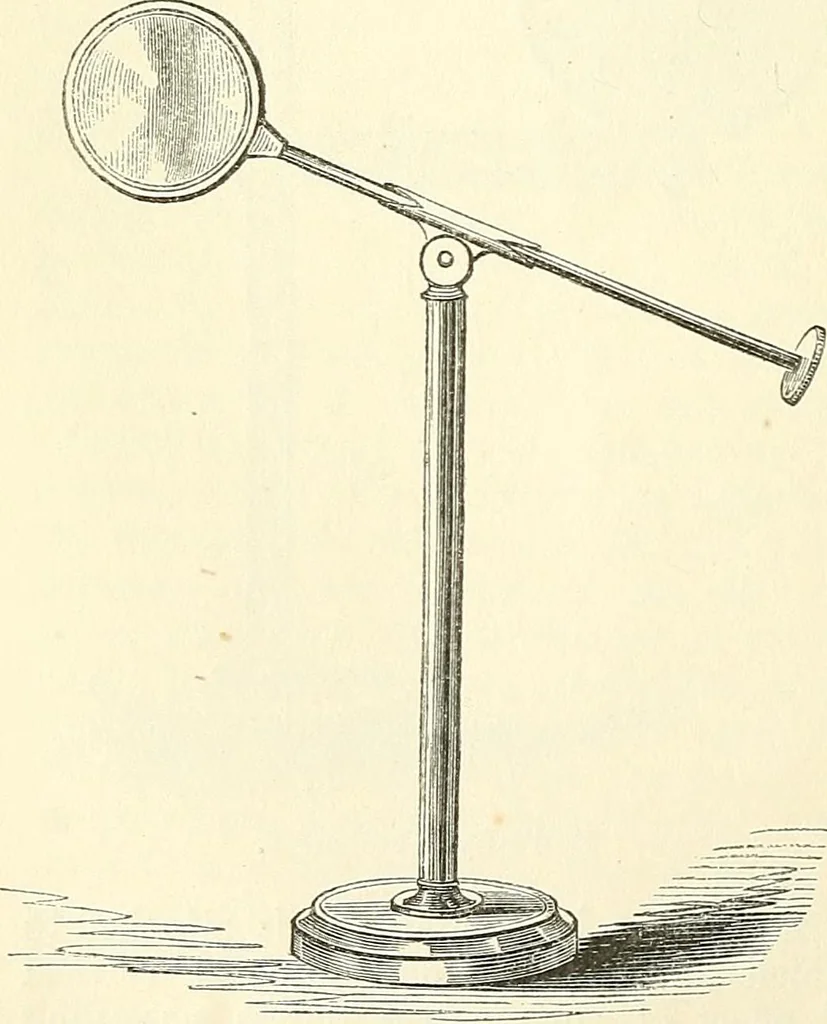 An illustration from The microscope and its revelations, 1856, leaf 163