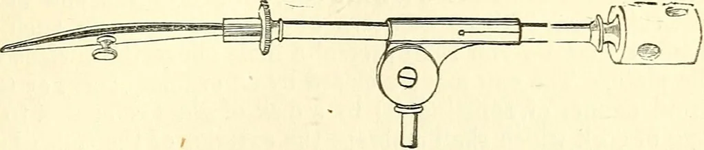 An illustration from The microscope and its revelations, 1856, leaf 166