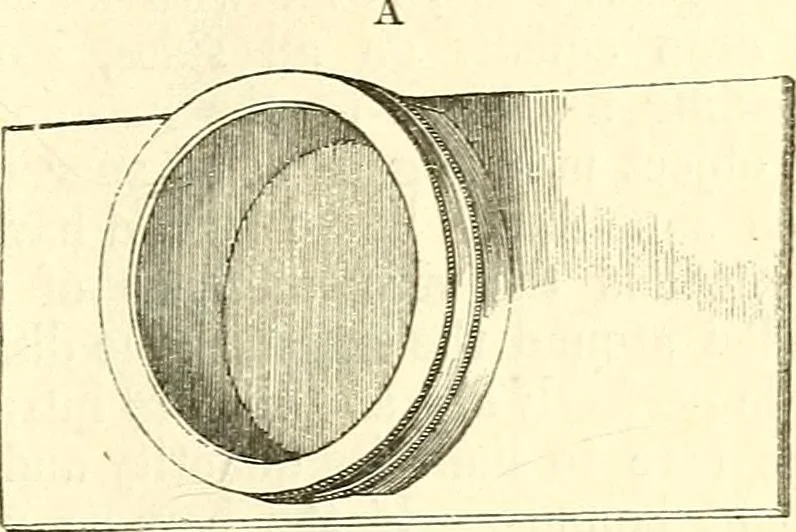 An illustration from The microscope and its revelations, 1856, leaf 168