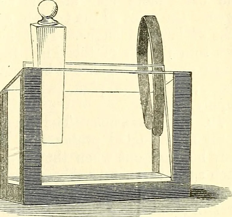 An illustration from The microscope and its revelations, 1856, leaf 170
