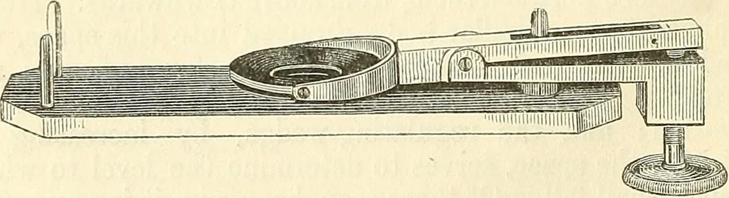 An illustration from The microscope and its revelations, 1856, leaf 171