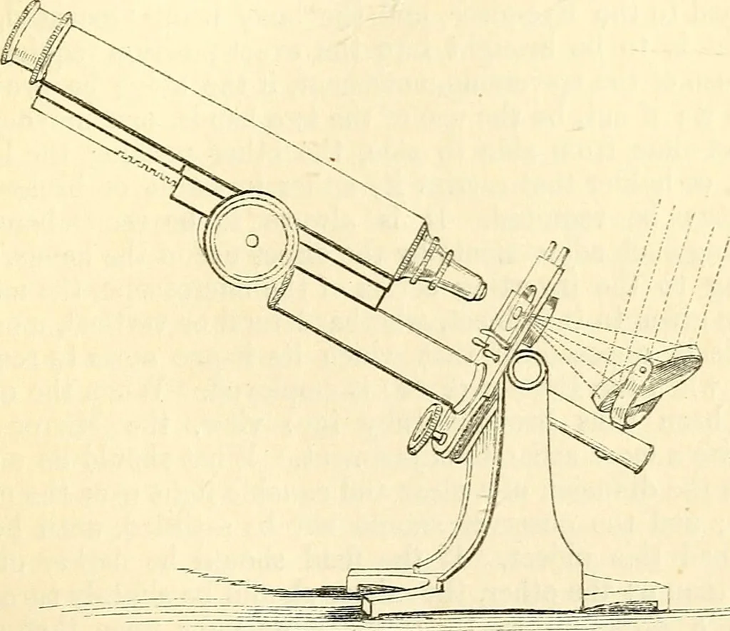 An illustration from The microscope and its revelations, 1856, leaf 194