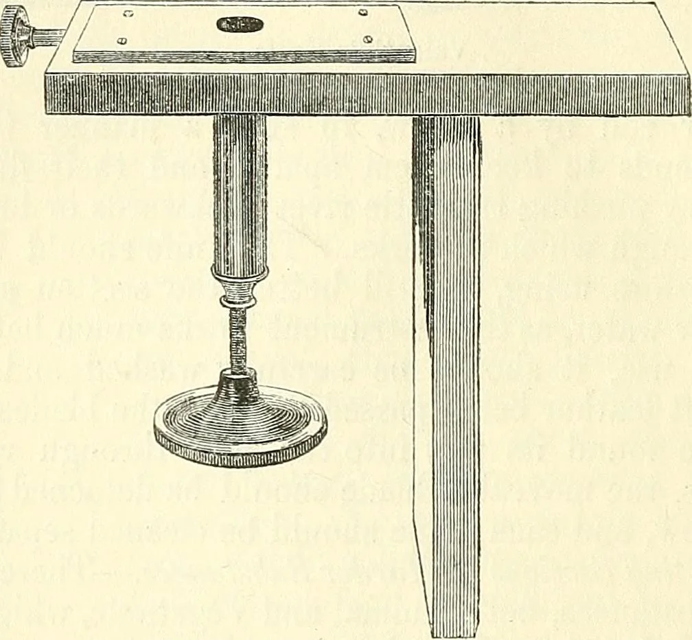 An illustration from The microscope and its revelations, 1856, leaf 237