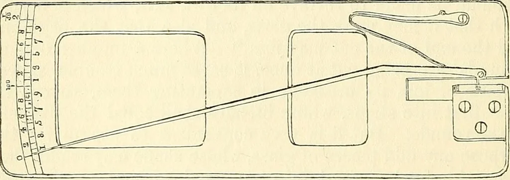 An illustration from The microscope and its revelations, 1856, leaf 249