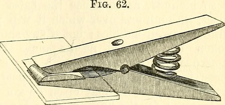 An illustration from The microscope and its revelations, 1856, leaf 262