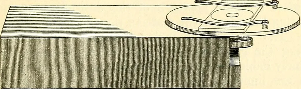 An illustration from The microscope and its revelations, 1856, leaf 272