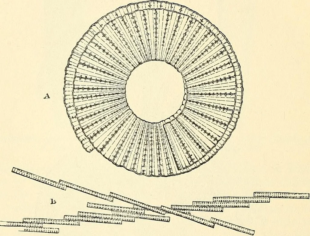 An illustration from The microscope and its revelations, 1856, leaf 349
