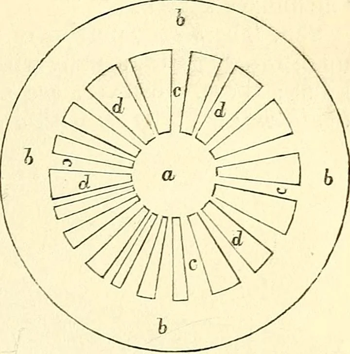An illustration from The microscope and its revelations, 1856, leaf 454