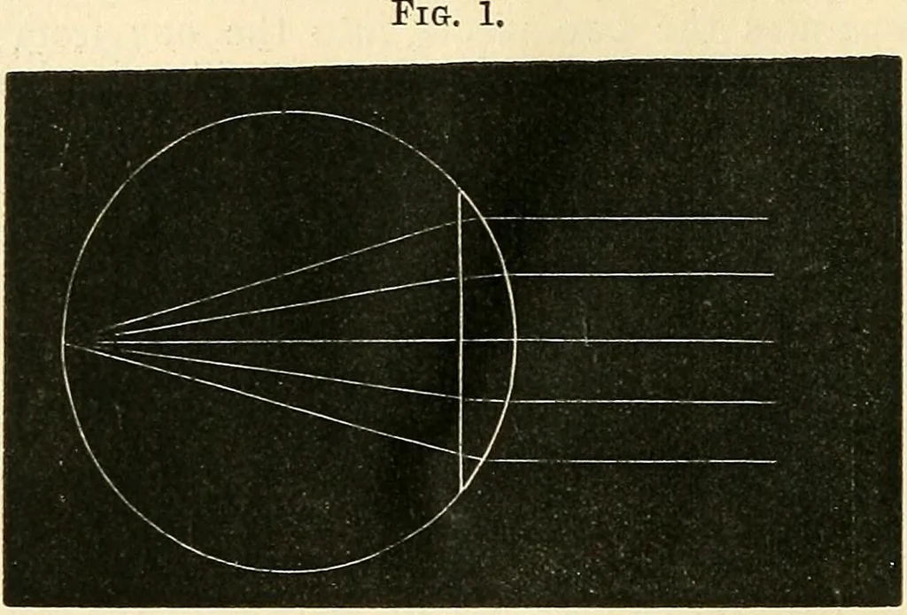 An illustration from The microscope and its revelations, 1856, leaf 63