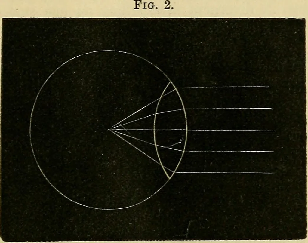An illustration from The microscope and its revelations, 1856, leaf 64