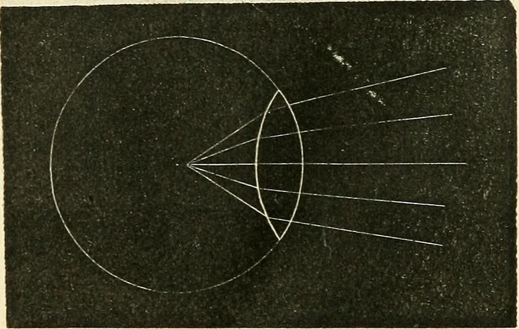 An illustration from The microscope and its revelations, 1856, leaf 65