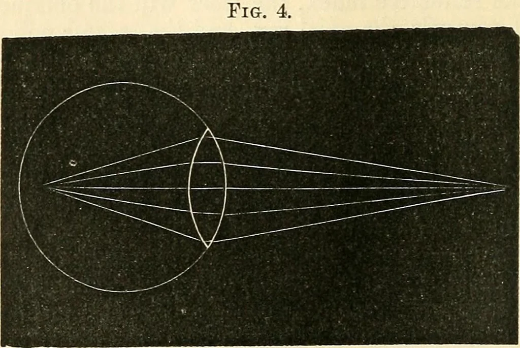 An illustration from The microscope and its revelations, 1856, leaf 65