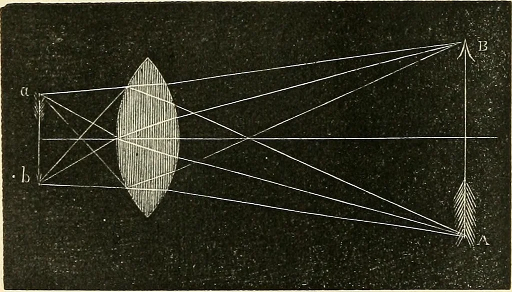 An illustration from The microscope and its revelations, 1856, leaf 67