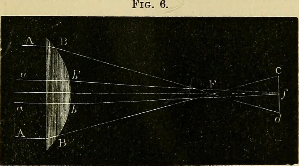 An illustration from The microscope and its revelations, 1856, leaf 68