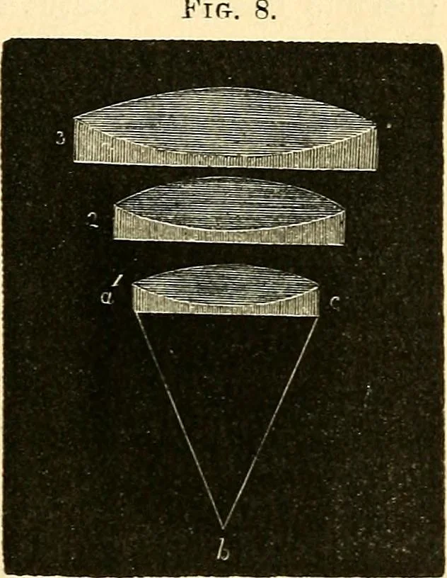 An illustration from The microscope and its revelations, 1856, leaf 74