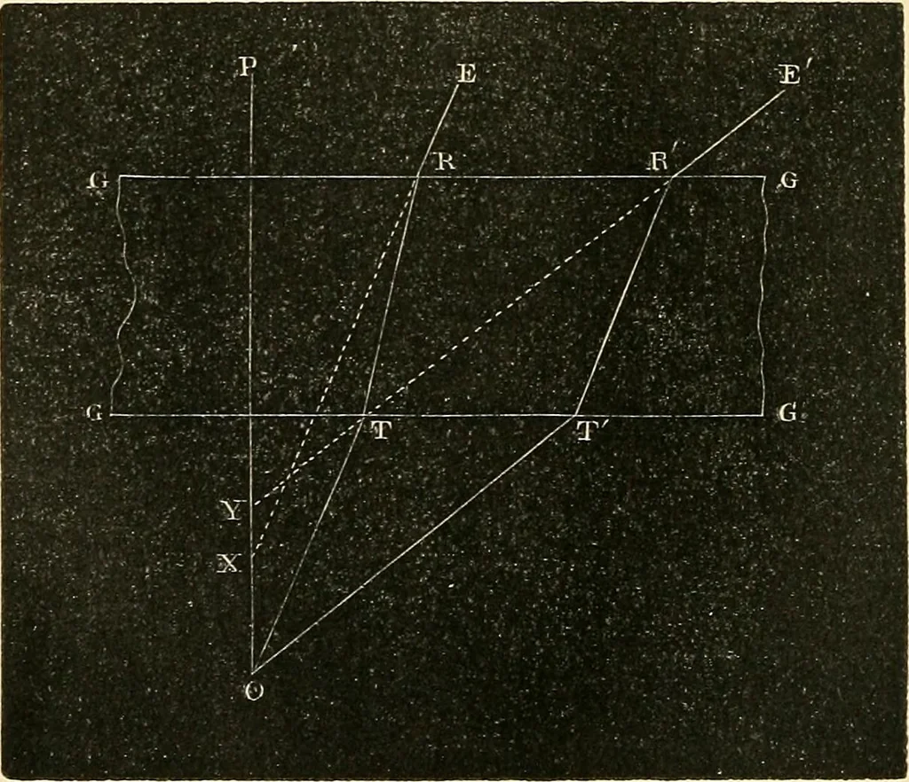 An illustration from The microscope and its revelations, 1856, leaf 75