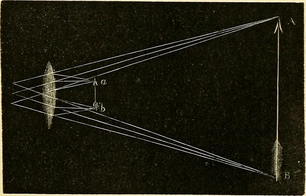 An illustration from The microscope and its revelations, 1856, leaf 78