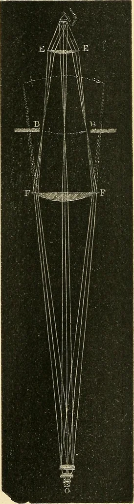 An illustration from The microscope and its revelations, 1856, leaf 83