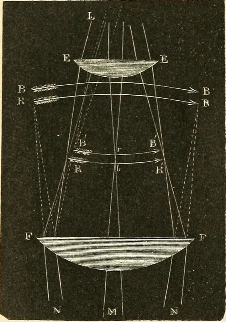An illustration from The microscope and its revelations, 1856, leaf 85