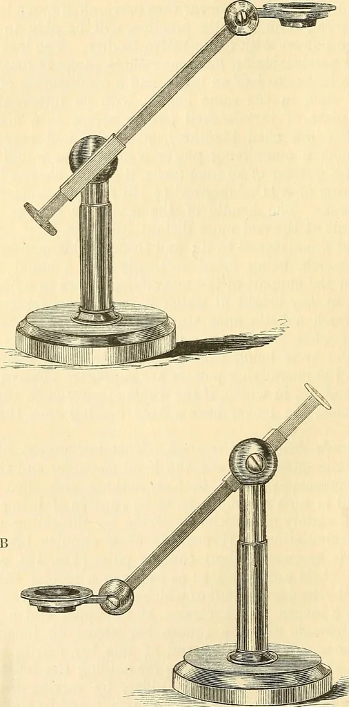 An illustration from The microscope and its revelations, 1856, leaf 95